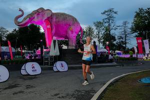 BIB: 
                            <button type="button" onclick="openModal(26529662)" class="btn btn-primary btn-sm float-right btn-popup" data-toggle="modal" data-target=".modal-high-quality">
                        <i class="fas fa-shopping-cart"></i> Add to Cart
                    </button>
                                            <button type="button" onclick="isThisMe(26529662, true)" class="btn btn-success btn-sm float-right btn-popup btn-isme hidden" data-toggle="tooltip" data-placement="bottom" title="นี่คือรูปของคุณใช่ไหม คลิกที่นี่เพื่อเอาเข้าอัลบั้ม">
                        <i class="fas fa-plus"></i> Add to album
                    </button>
                    <button type="button" onclick="isThisMe(26529662, false)" class="btn btn-warning btn-sm float-right btn-popup btn-isnotme hidden">
                        <i class="fas fa-ban"></i> Remove from album
                    </button>